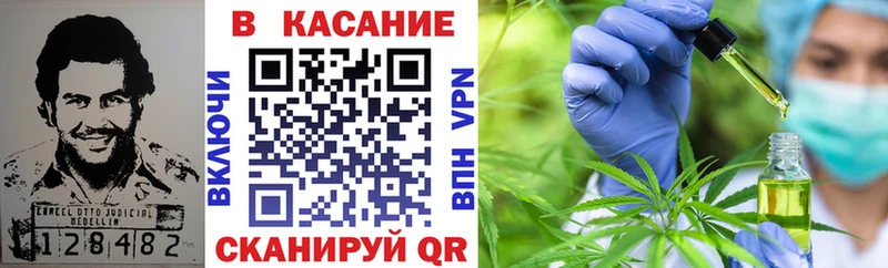 Где купить Фрязино АМФЕТАМИН  Меф  Конопля  MEGA ONION  А ПВП 