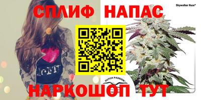 винт Можга