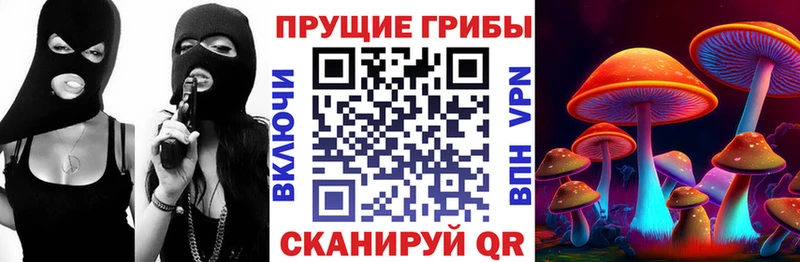 дарнет шоп  маркетплейс как зайти  Псилоцибиновые грибы MAGIC MUSHROOMS  Фрязино 