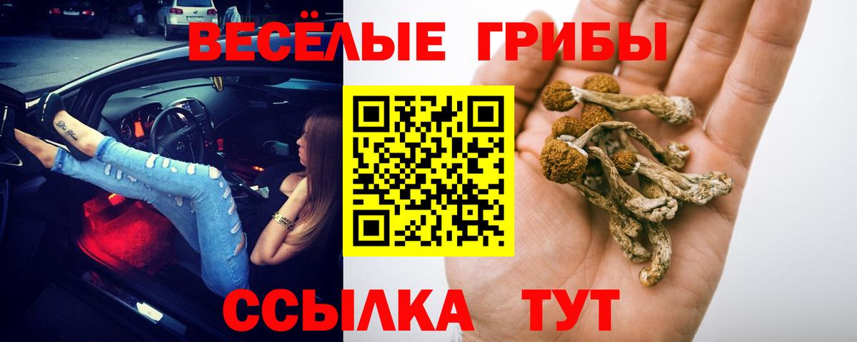 Фрязино  Галлюциногенные грибы MAGIC MUSHROOMS  Вход с VPN  Псилоцибиновые грибы Psilocybine cubensis 