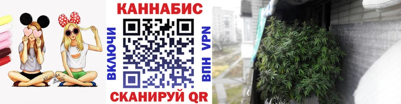 Шишки марихуана AK-47  Фрязино 